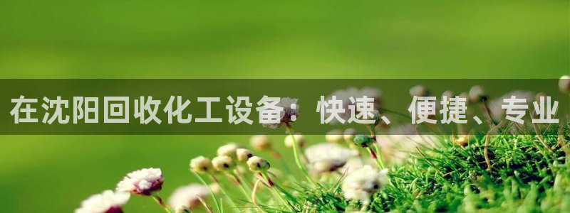 新城平台登录入口