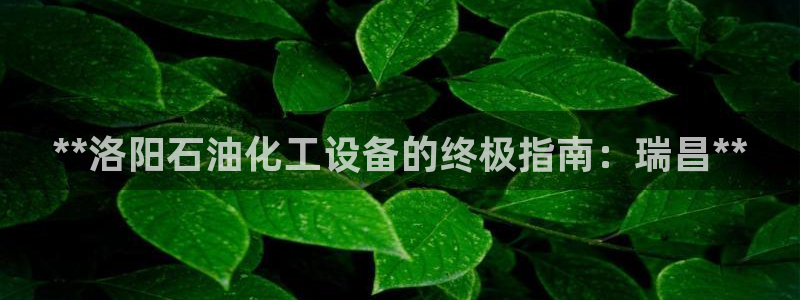 新城平台登录入口官网查询网址