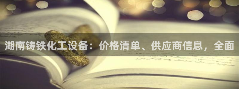 新城平台登录入口官网查询信息